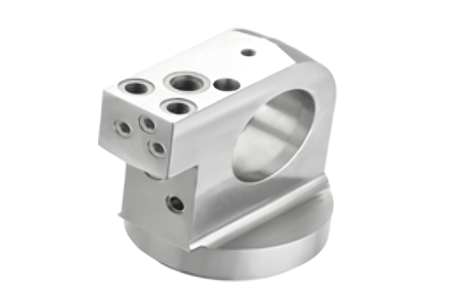 Forest with light rays