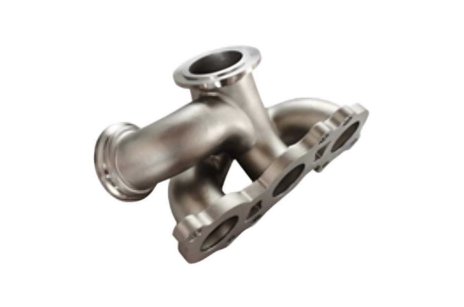 Forest with light rays