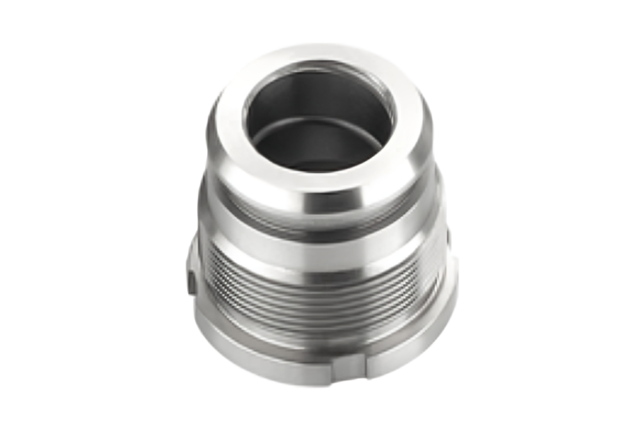 Forest with light rays