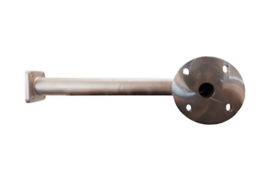 Forest with light rays