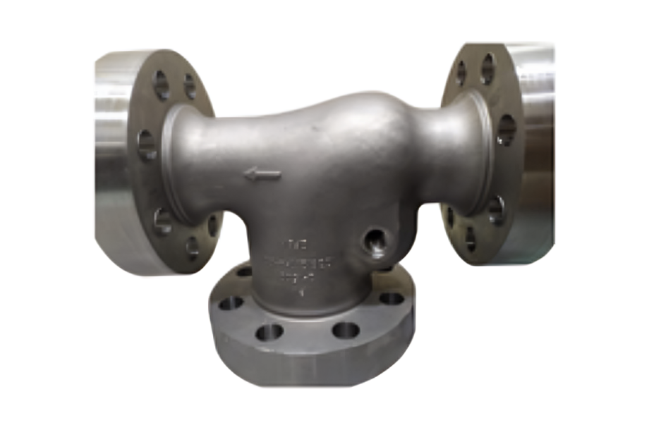 Forest with light rays