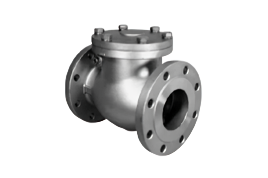 Forest with light rays