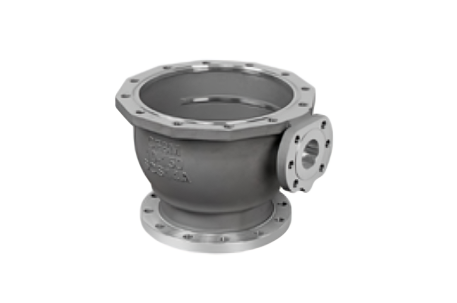 Forest with light rays