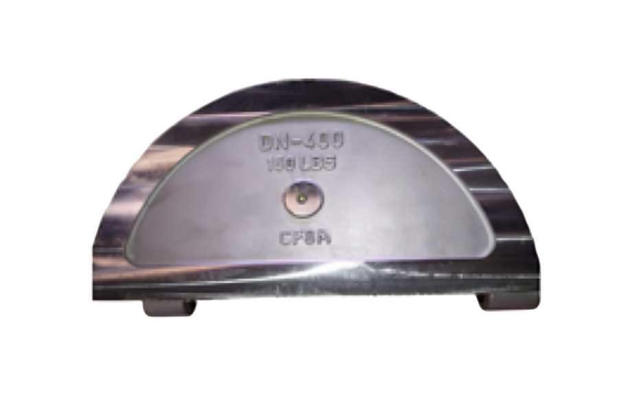 Forest with light rays