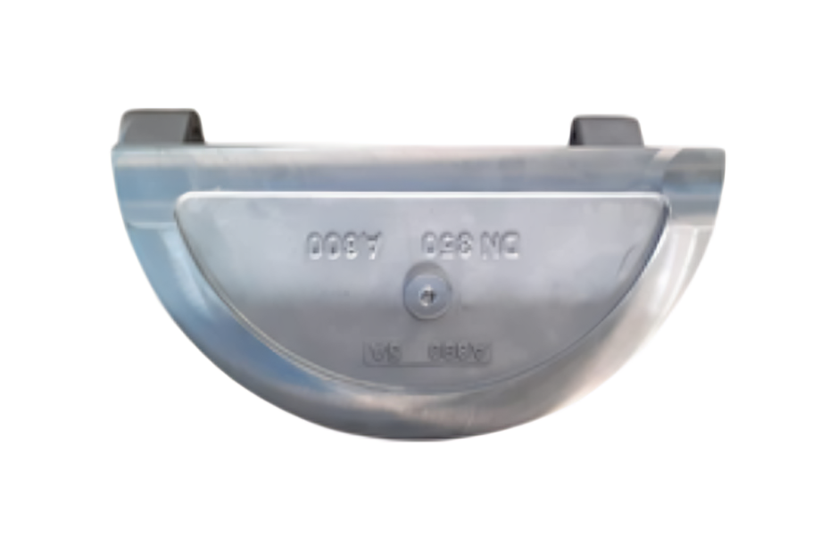 Forest with light rays