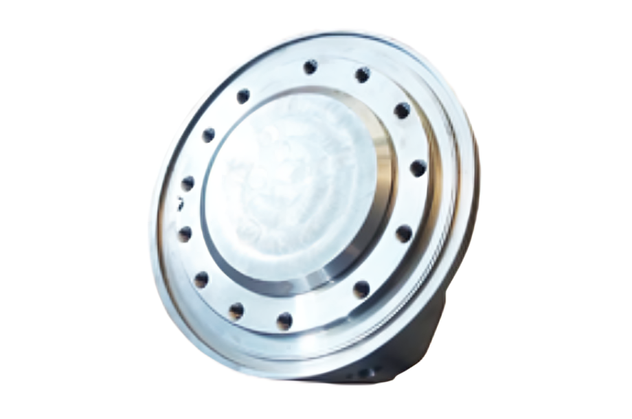 Forest with light rays