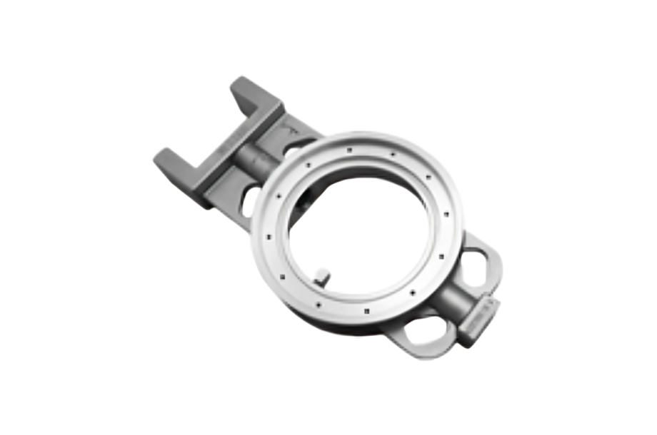 Forest with light rays